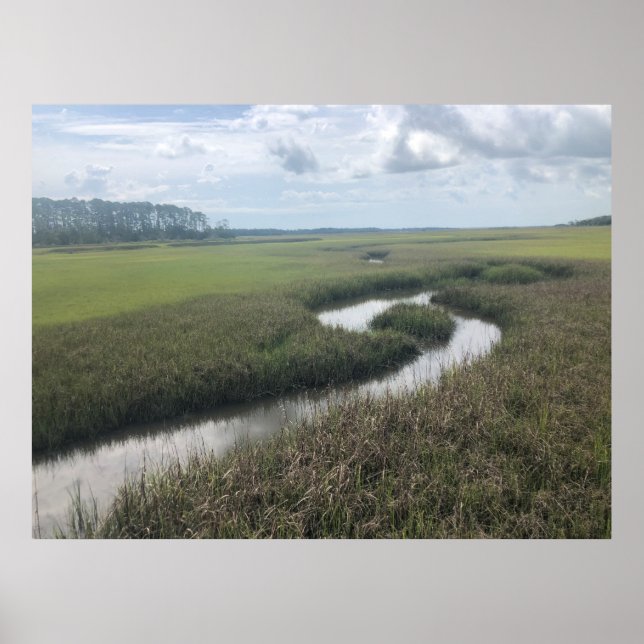 Wetlands Tolomato River Nature Photography Poster (Front)