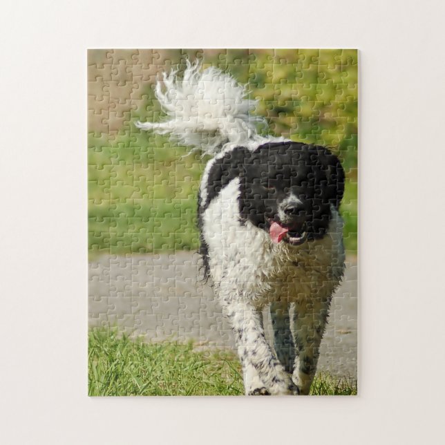Wetterhoun Dog Jigsaws. Jigsaw Puzzle (Vertical)