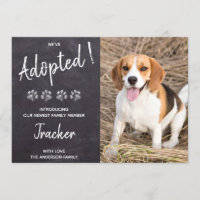 We've Adopted New Pet Dog Puppy Pawty