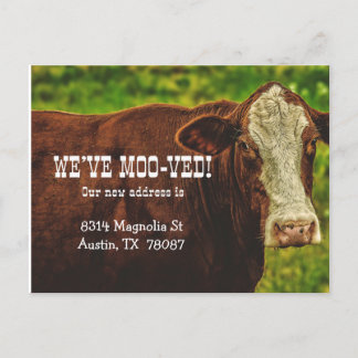 We've Moo-ved Moving Announcement Postcard