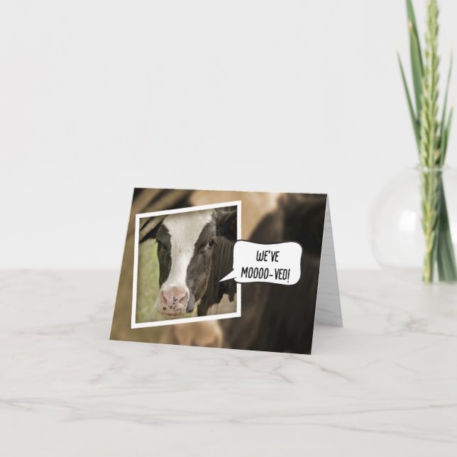 We've Moved Announcement with Cow (Front)