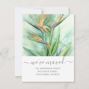 We've Moved Birds Of Paradise Floral Name Script Announcement