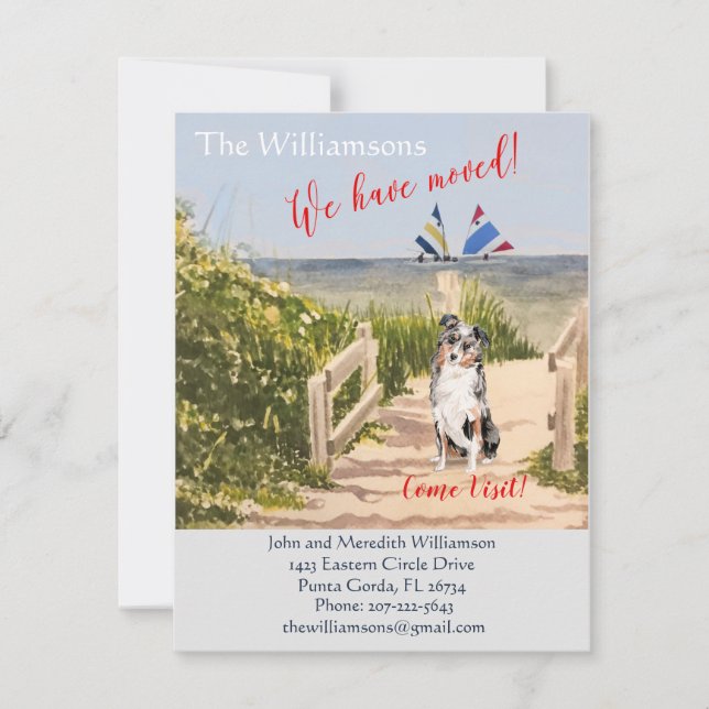 We've Moved Dog Ocean Beach  Announcement (Front)