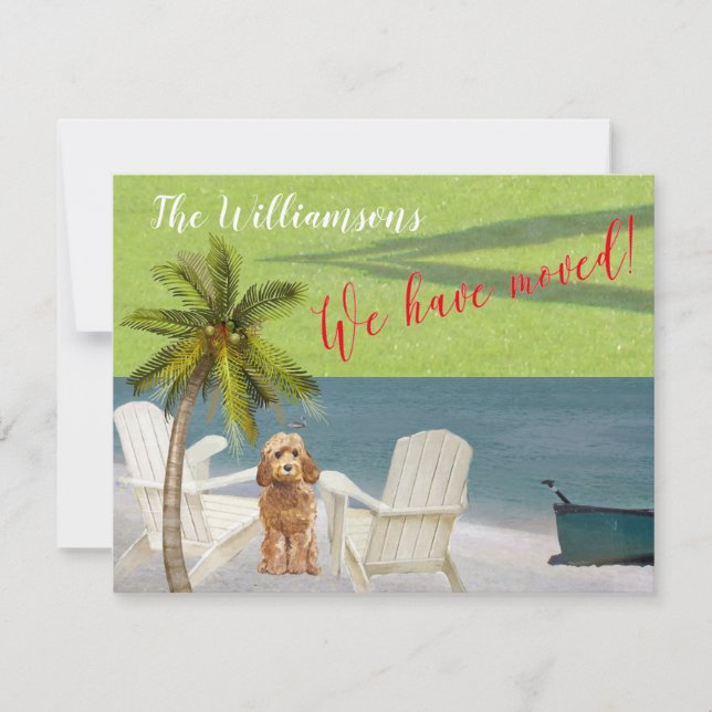 We've Moved Dog Ocean Beach Budget Move   Announcement (Front)