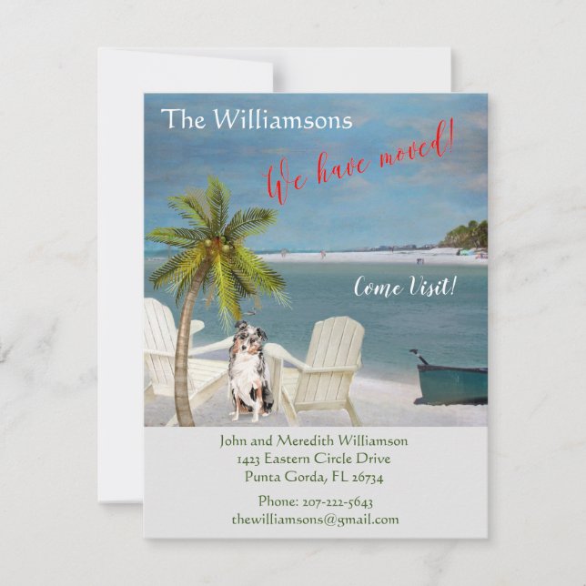 We've Moved Dog Ocean Beach Budget Move    Announcement (Front)