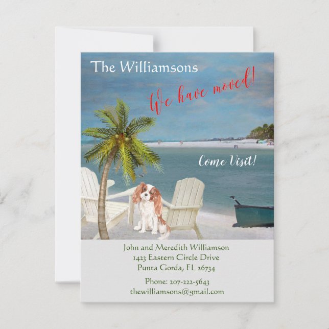 We've Moved Dog Ocean Beach Move      Announcement (Front)