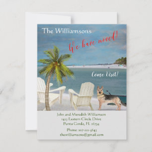 We've Moved Dog Ocean Beach Move     Announcement