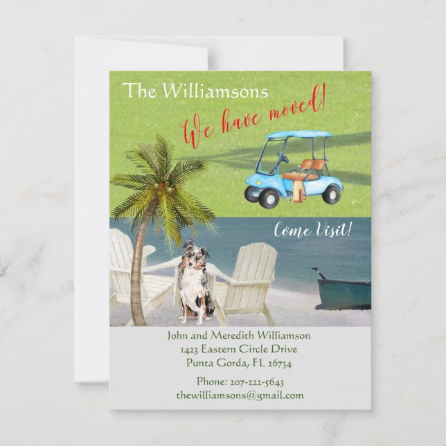 We've Moved Dog Ocean Beach Move   Announcement (Front)