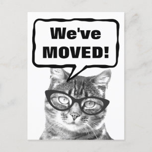 We've moved moving postcards with funny cat