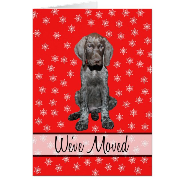 We've Moved - New Address Christmas German pointer (Front)