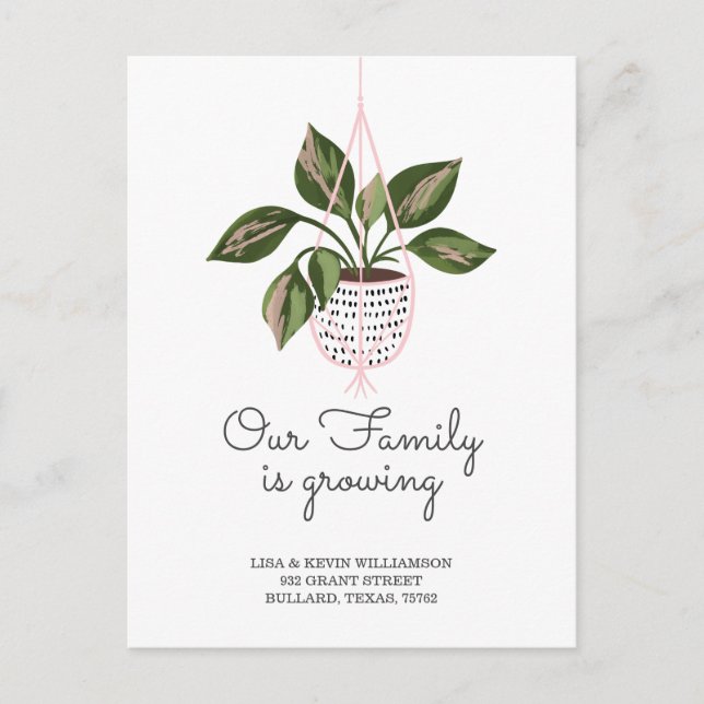 We've Moved - New Address Hanging Plant Moving Announcement Postcard (Front)