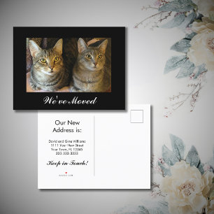 We've moved New Home Cats Photo Black White Moving Announcement Postcard