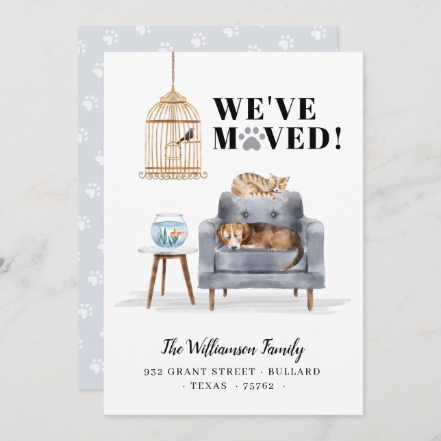 We've Moved New Home Dog & Cat Sleeping Grey Sofa Announcement (Front/Back)