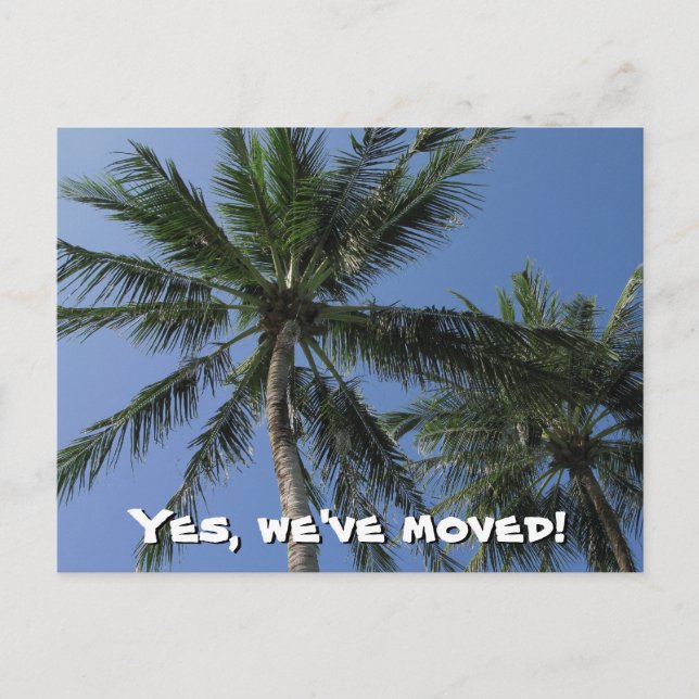 We've moved - Palm Trees on Postcard (Front)