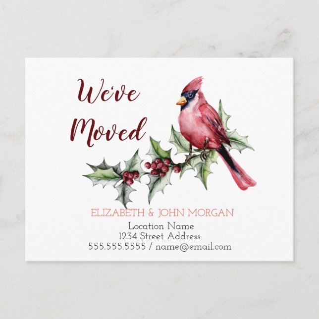 We've Moved,Red Cardinal Holly Berry Announcement Postcard (Front)