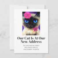 We've Moved Siamese Cat Pet New Home Script Moving