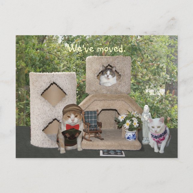 We've Moved to a Bigger House Announcement Postcard (Front)