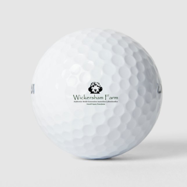 WF Branded Products Golf Balls (Front)