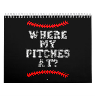 Wgere My Pitches AI ? Calendar