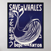 Whale Art Unedited Vintage Photos Old Aesthetic