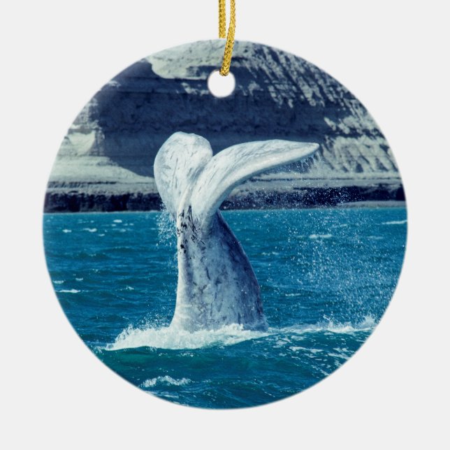 Whale calf tail - Argentina Ceramic Tree Decoration (Front)