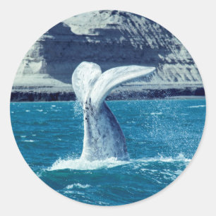Whale calf tail - Argentina Classic Round Sticker