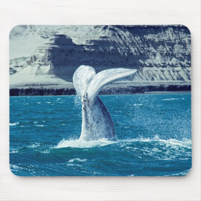 Whale calf tail - Argentina Mouse Mat (Front)