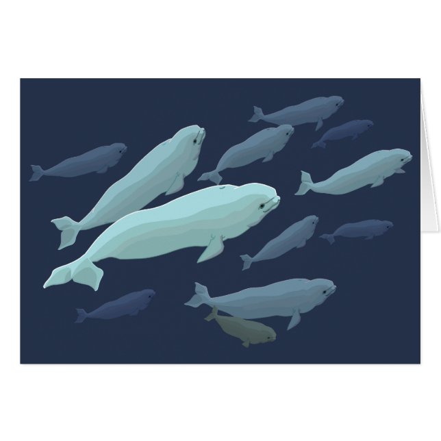 Whale Cards Personalised Beluga Whale Art Cards (Front Horizontal)