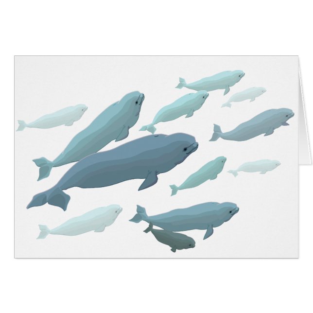 Whale Cards Personalised Beluga Whale Art Cards (Front Horizontal)