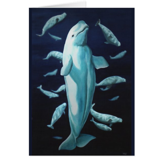 Whale Cards Personalised Beluga Whale Art Cards (Front)