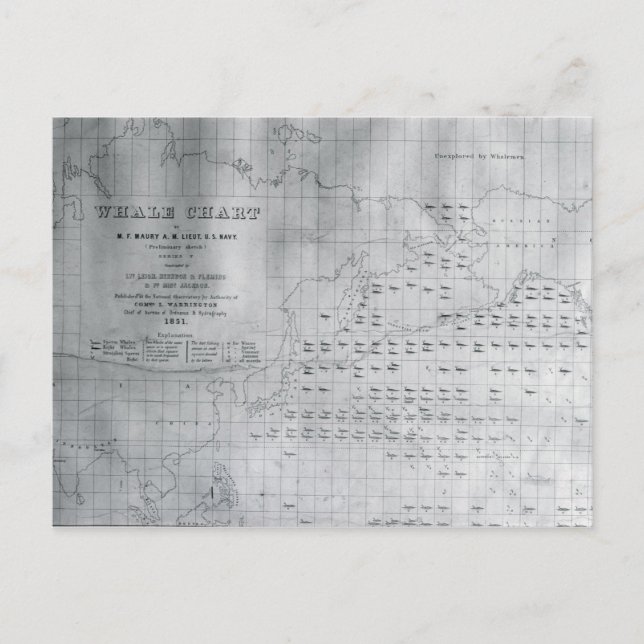 Whale Chart of the North Pacific, 1851 Postcard (Front)