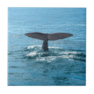 Whale fin tile
