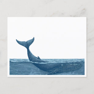 Whale in ocean   postcard