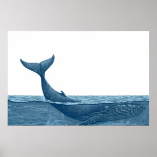 Whale in ocean Small Poster