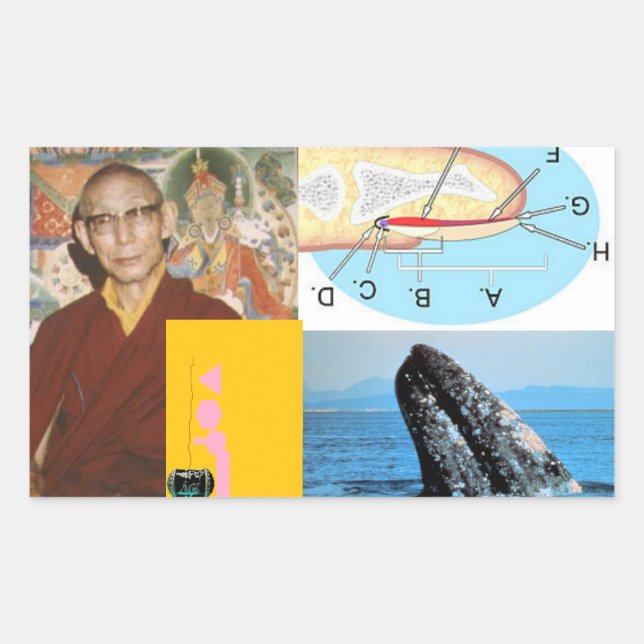 Whale in the Nail Rectangular Sticker (Front)