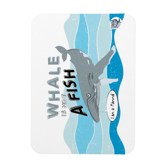 Whale is not a fish magnet (Vertical)