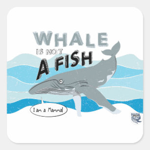 Whale is not a fish square sticker