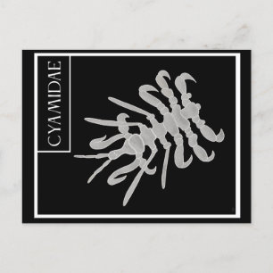 Whale Louse Postcard