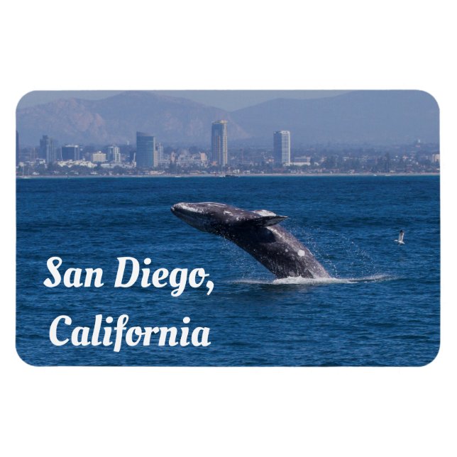 Whale of a Time San Diego, CA Magnet (Horizontal)