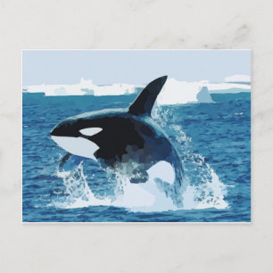Whale Orca Water Animal Sea Ocean Fish Peace Love Postcard