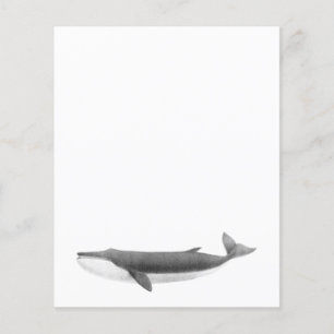 WHALE PAPER SHEET