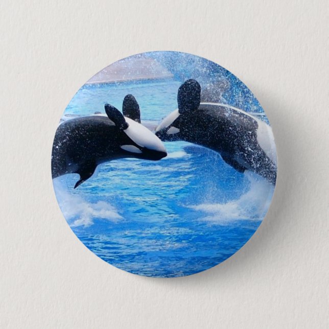 Whale Photo Round Button (Front)