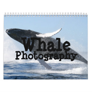 Whale Photography Calendar