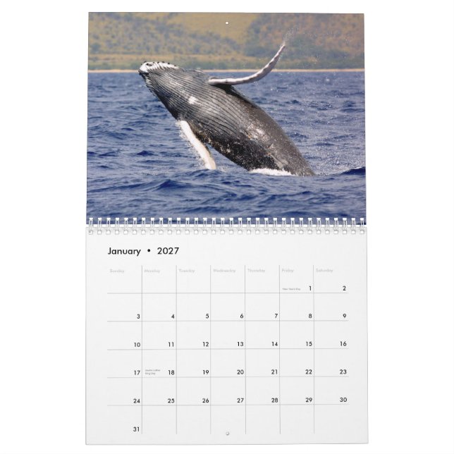 Whale Photography Calendar (Jan 2027)