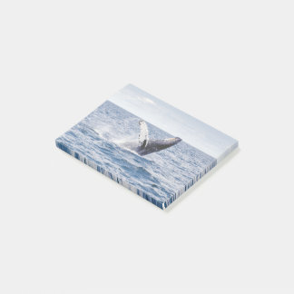 Whale Post-it Notes