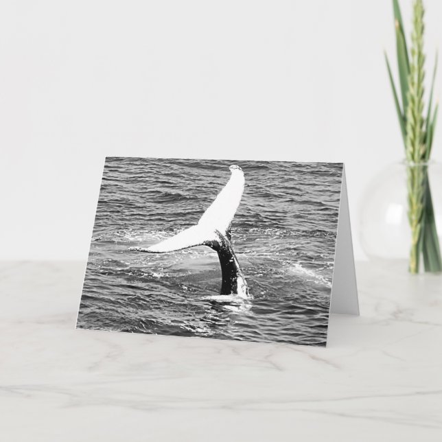 Whale Shakes a Tail Feather birthday card (Front)