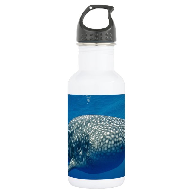 Whale Shark 532 Ml Water Bottle (Front)