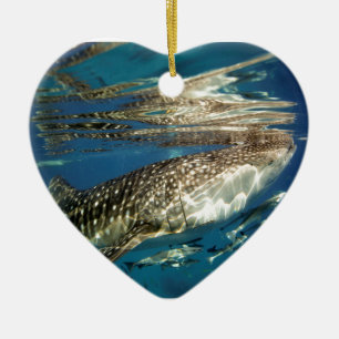 Whale shark and remora fish ceramic tree decoration