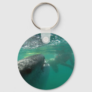 Whale Shark and Swimmer Key Ring