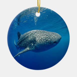 Whale Shark Ceramic Tree Decoration